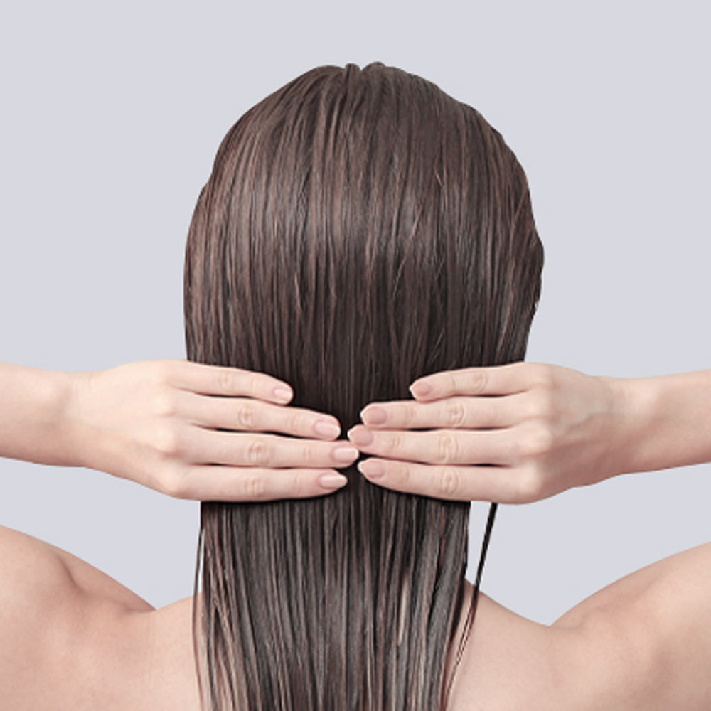 Pyunkang Yul Hair & Body Travel Kit 100ml*4 official product gallery image 3