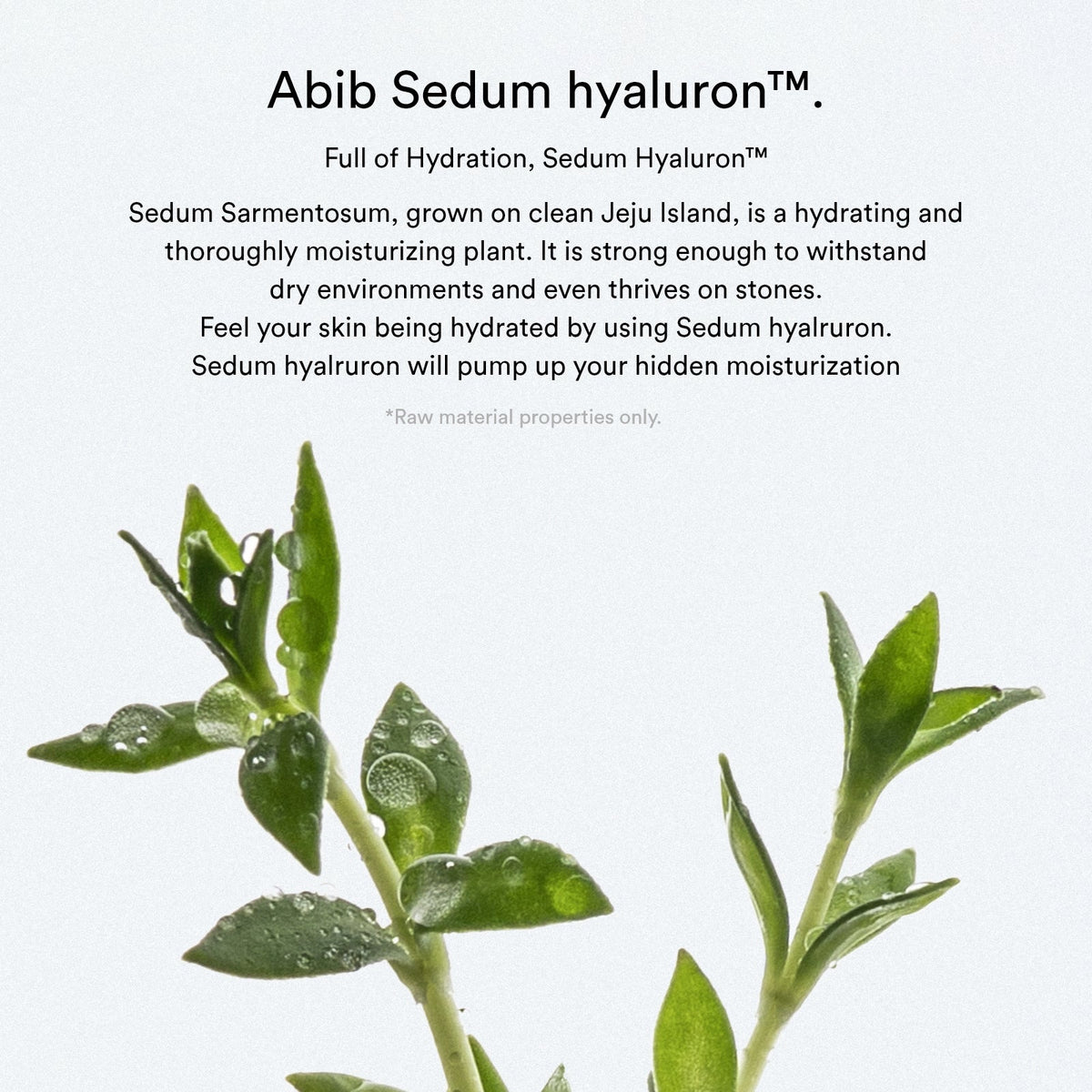 Abib Sedum hyaluron pad Hydrating touch - 165ml. 75 pads - official Abib product image 2