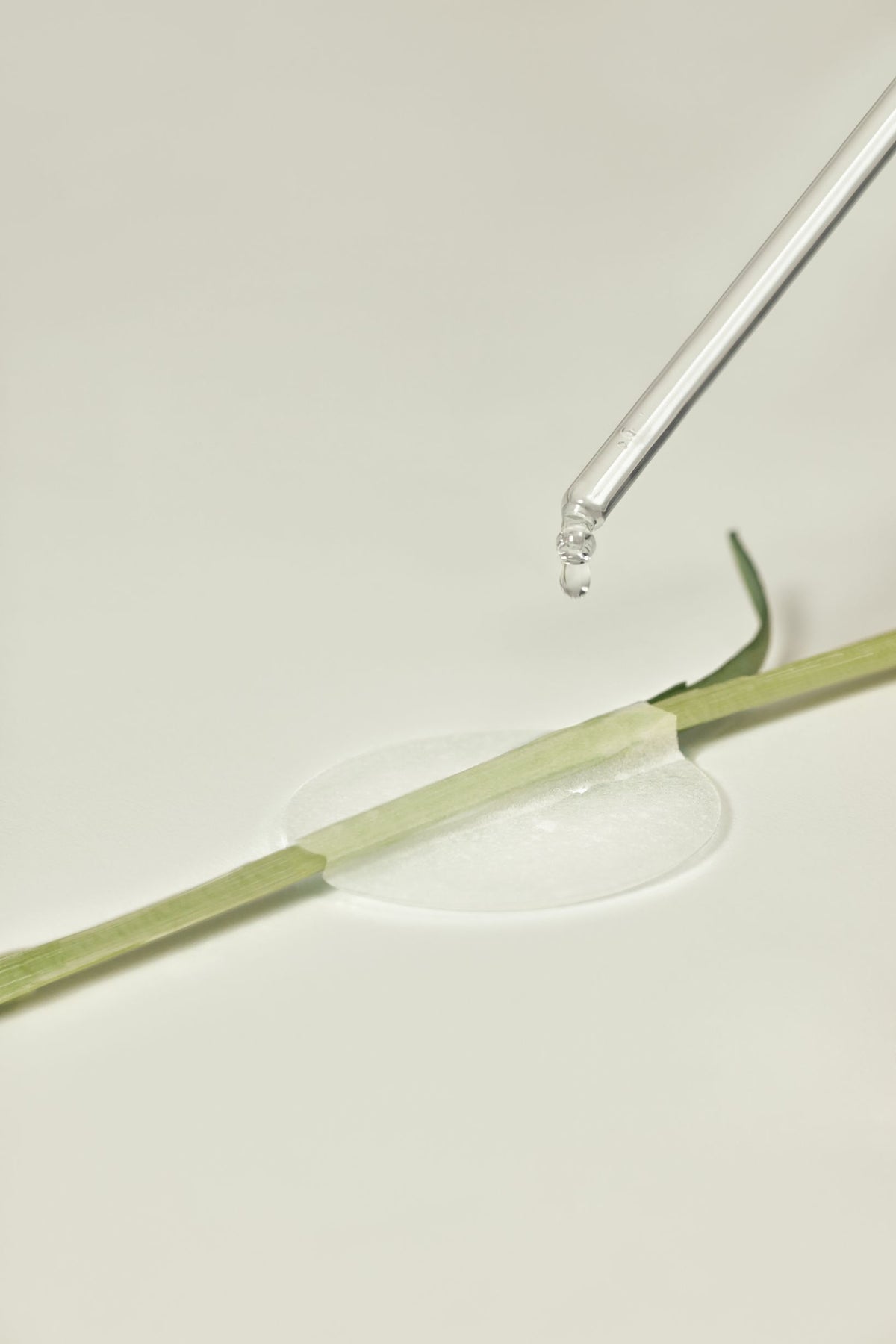 THE LAB by blanc doux Green Flavonoid 2.5 Pad 120g (90p) — official product image 5