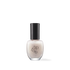 TIPTOE Nail Polish – 12 Colors — main product image