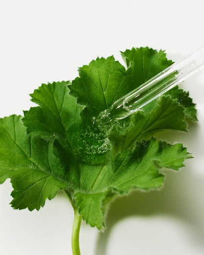 THE LAB by blanc doux Green Flavonoid 5.0 Serum 30ml — official product image 10