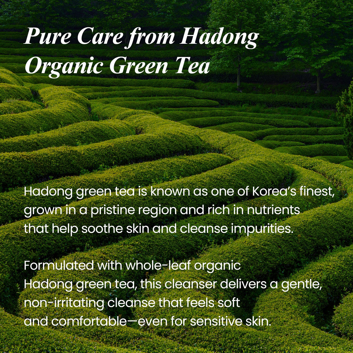 Neogen Real Fresh Cleansing Oil Green Tea 285ml — Neogen official product image 5
